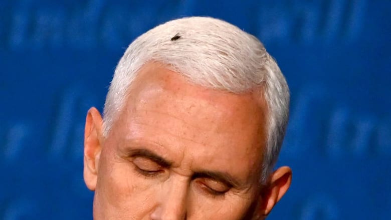 Buzz of the debate: Fly lands on Pence’s head, temporarily steals show