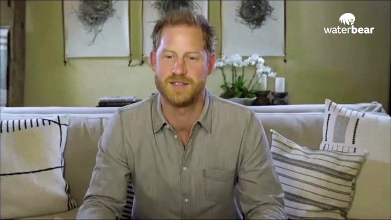 Prince Harry suggests Covid may be nature's rebuke