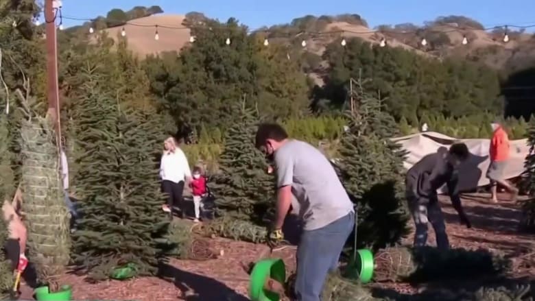 Christmas tree delivery services see a boost amid pandemic