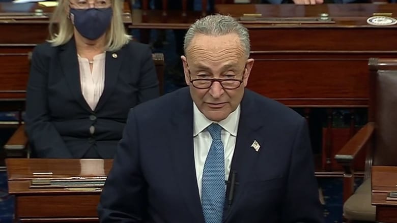Schumer calls Capitol rioters domestic terrorists, says Trump holds blame