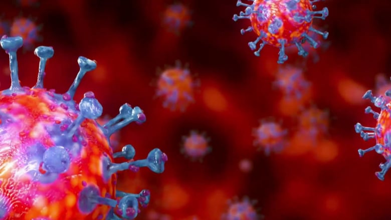 Cases of South Africa Covid variant detected in U.S.