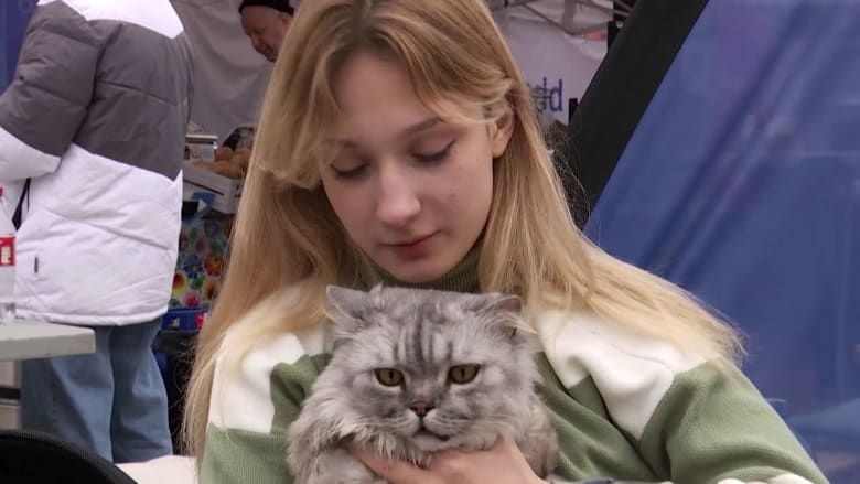 Ukrainian teen refugee credits her cat for keeping her safe