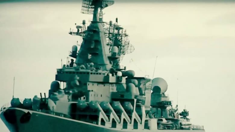 Russian warship sinks in Black Sea