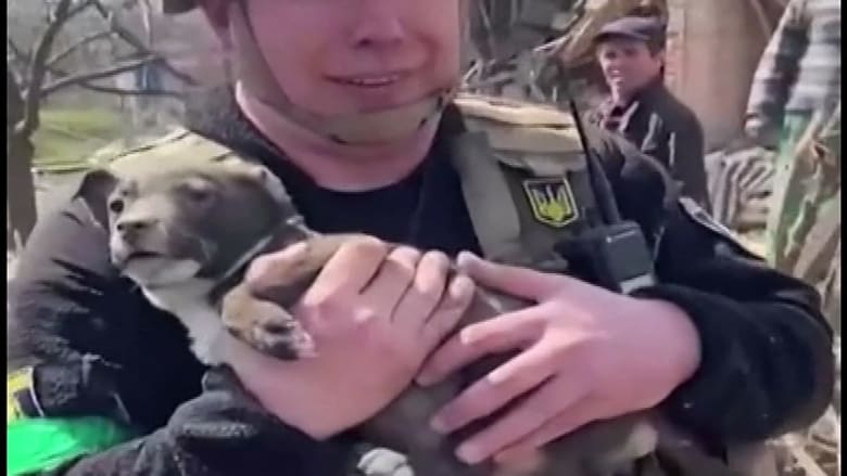 Watch: Rescuers pull puppy from rubble of destroyed house in eastern Ukraine