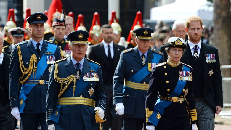 Next chapter for royal family unfolds as queen lies in state