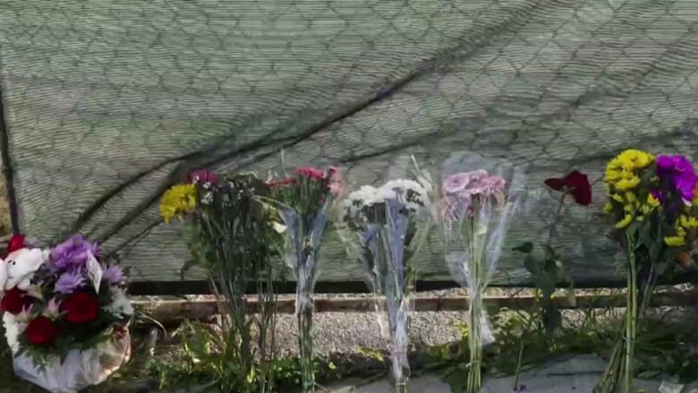 Monterey Park mass shooting victim's family 'never imagined her life would end so suddenly'