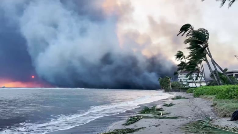 Hawaii wildfire survivors share harrowing stories