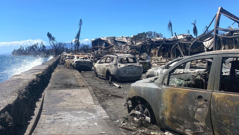 FEMA official on Maui recovery efforts, challenges of infrastructure