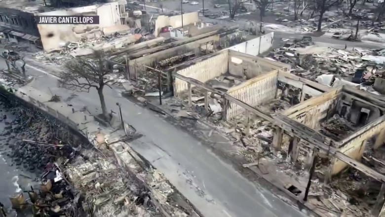 Hawaiian Electric sued after deadly wildfires