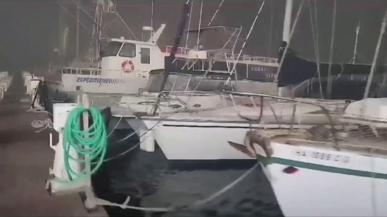 Watch: Maui boat worker runs down pier warning boaters of wildfire