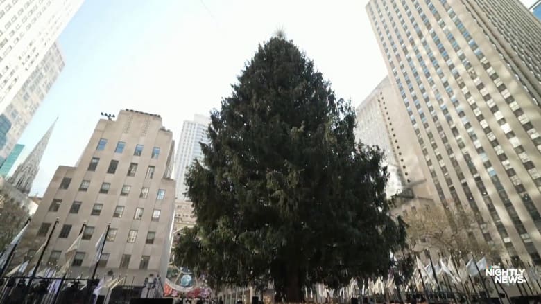 Rockefeller Christmas tree lighting 2023: Photos and more from the NYC ...