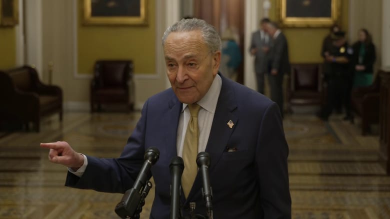 Schumer on Zelenskyy's call for support: 'He needs the aid quickly'