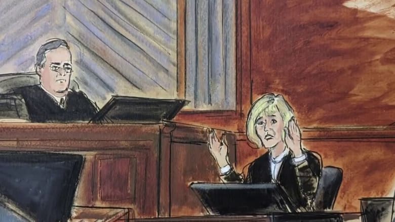E. Jean Carroll cross-examined about income, public image on stand