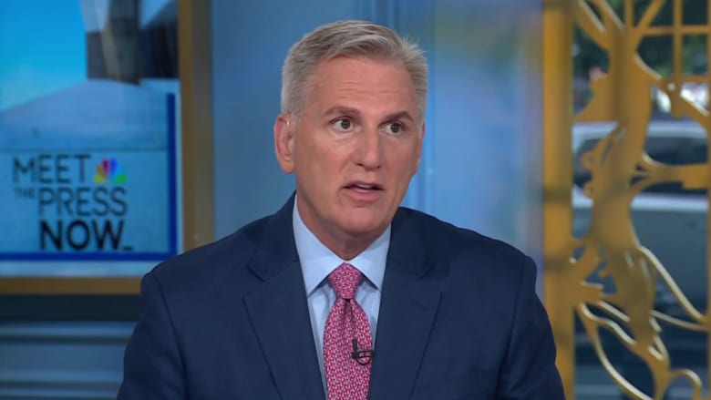 Former Speaker Kevin McCarthy: DEI attacks on Harris are ‘stupid and dumb’