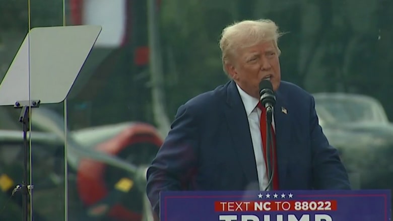 Trump says 'primary focus' is to make sure Democrats 'don't cheat'