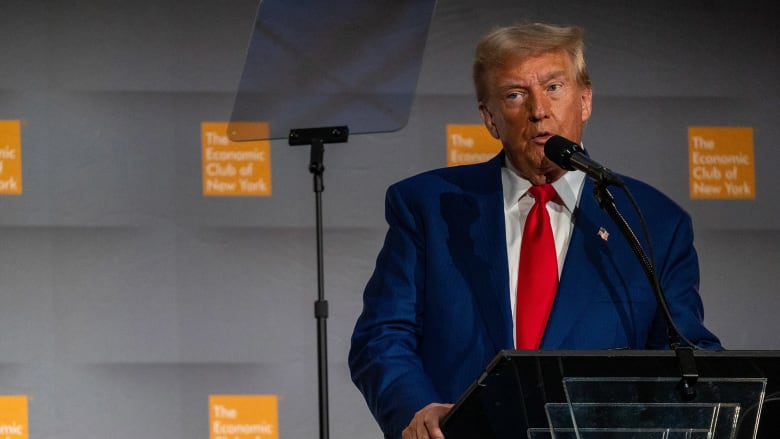 Trump voices support for Elon Musk's plan for a government efficiency commission