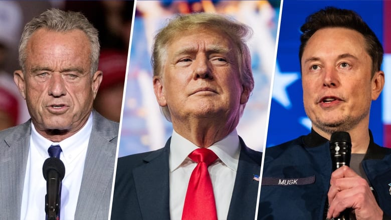 Whom might Trump pick for his Cabinet? Here are the contenders