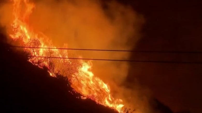 Fire crews making progress against Sunset Fire in Hollywood Hills