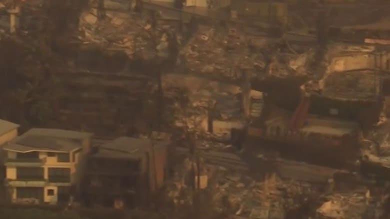 Aerial view reveals extent damage from Palisades Fire