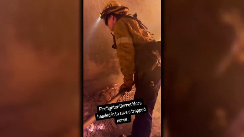 California wildfires: A look at the helpers, heroes, acts of bravery