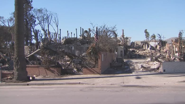 'It's gone. It's decimated': Pacific Palisades resident vows to rebuild