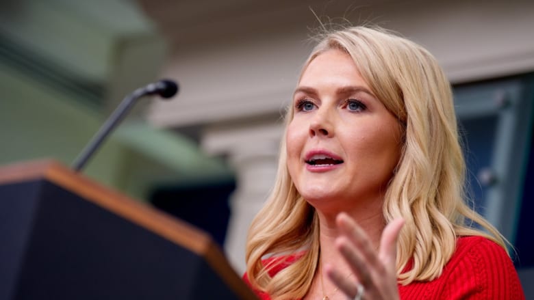 White House points to ‘formatting issues’ when asked about MAHA report inaccuracies