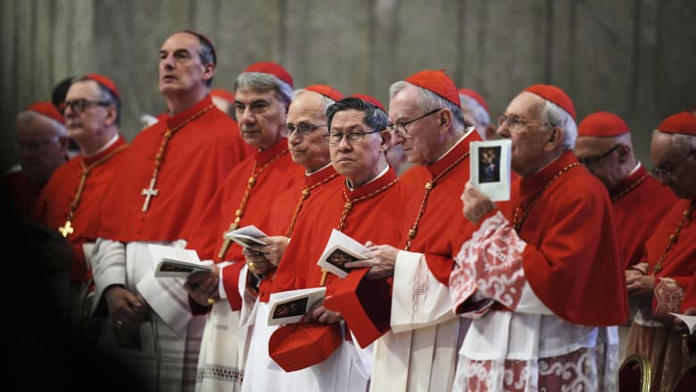 Cardinals arrive in St. Peter's Basilica for pre-conclave Mass