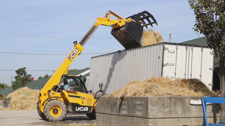 'It stinks, but it's a job': Scooping poop at the Kentucky Derby