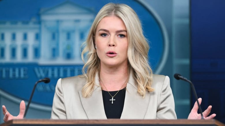 White House on layoffs: Democrats have 'given the administration this opportunity'