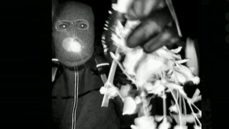 FBI releases surveillance photos of potential subject at Nancy Guthrie's door