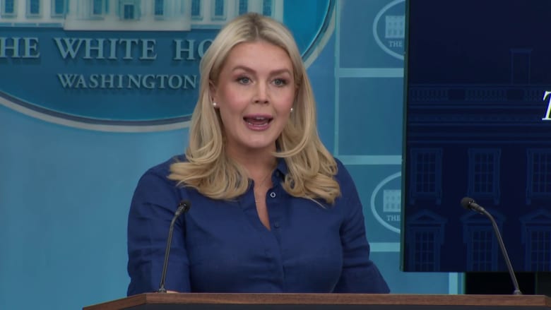 Leavitt: Trump threw Iran's original 10-point plan 'in the garbage'