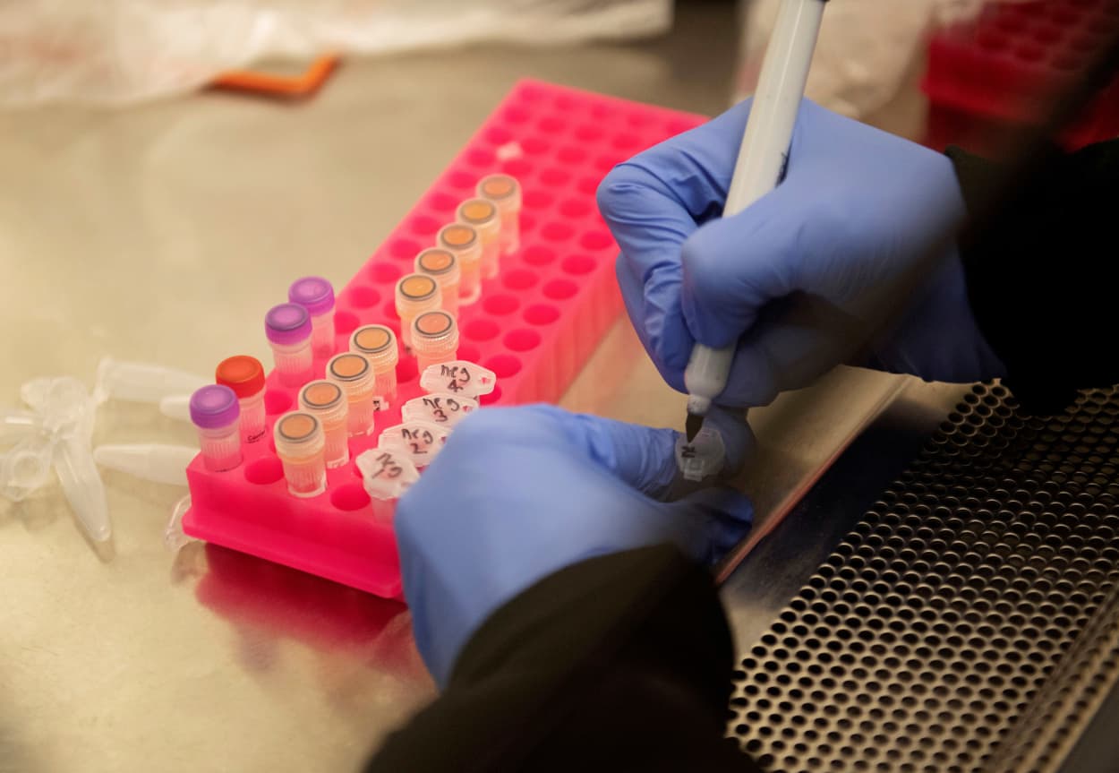 FILE PHOTO: Researchers set up new labs to help fight coronavirus at the University of Minnesota