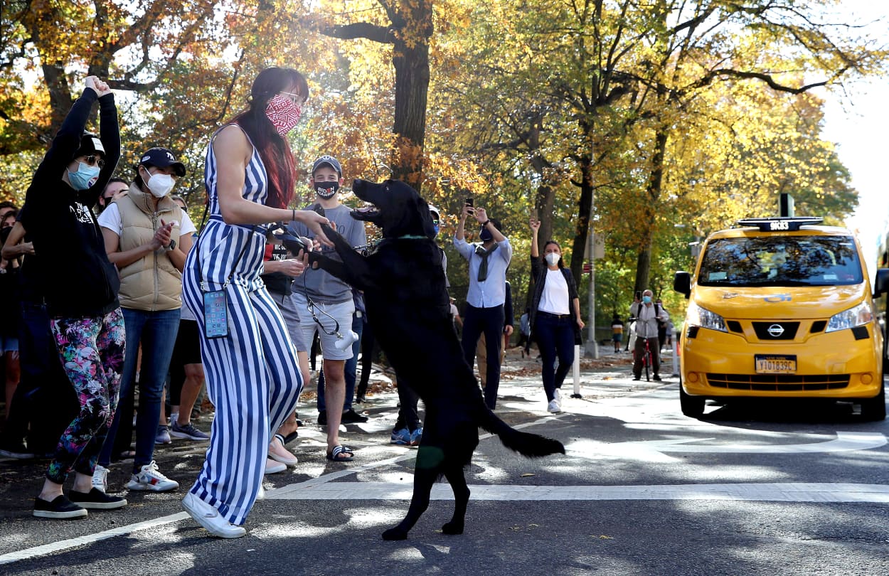 Image: People react as media announces that Democratic U.S. presidential nominee Joe Biden has won the 2020 U.S. presidential election in New York City