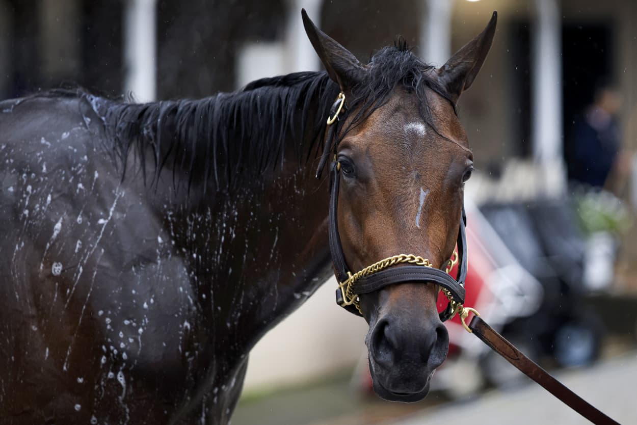 Fierceness is washed outside his barn