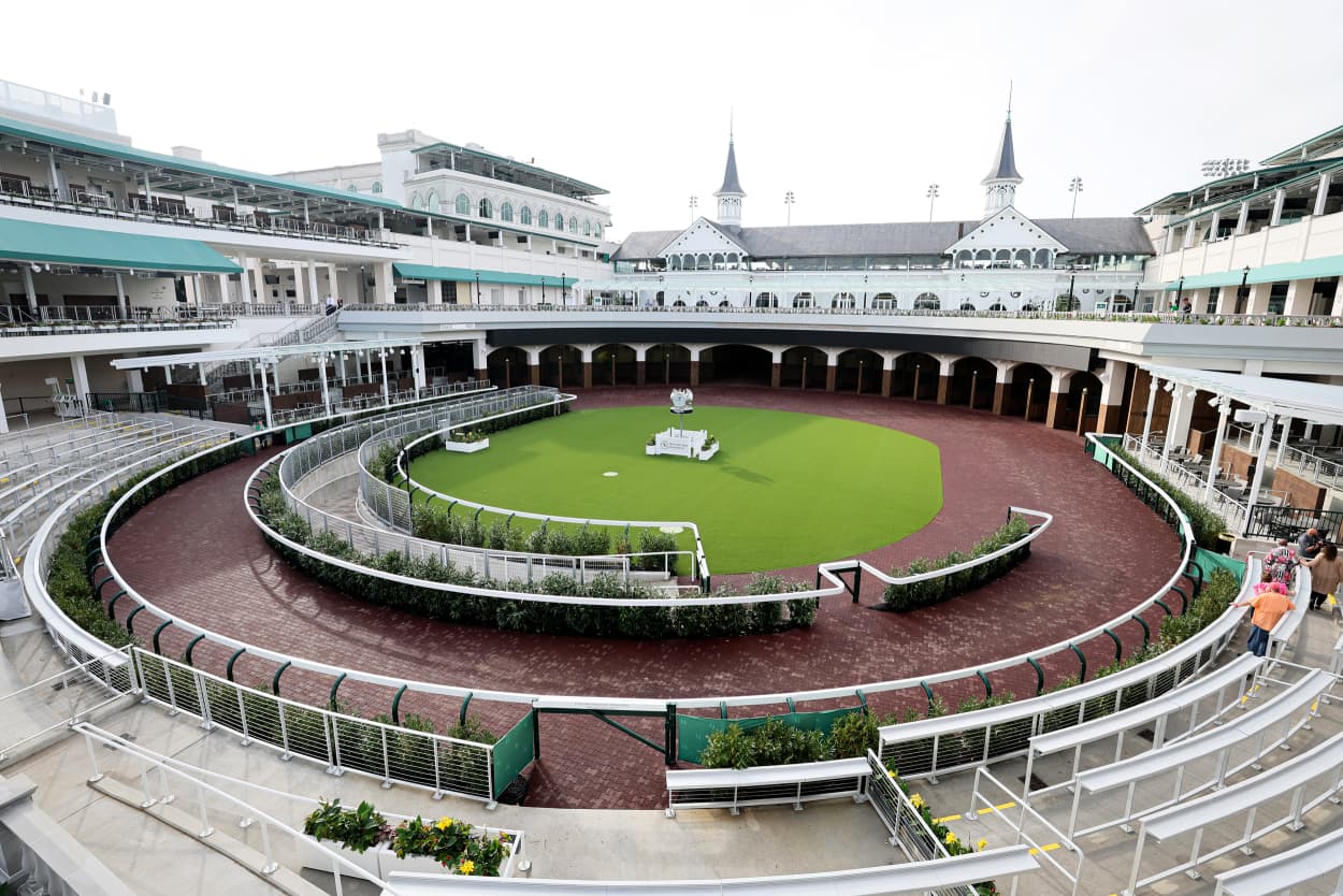 The redesigned paddock.