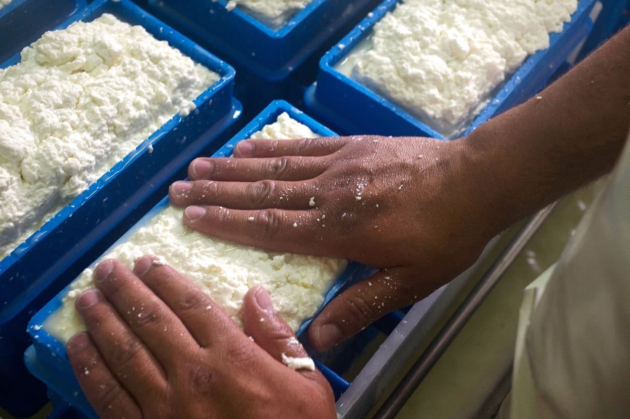 Greek Cheese Production