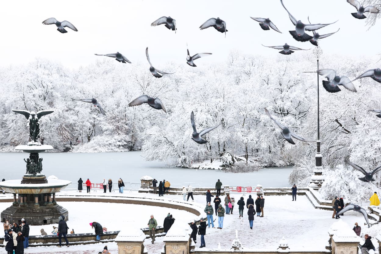 Image: TOPSHOT-US-WEATHER-SNOW