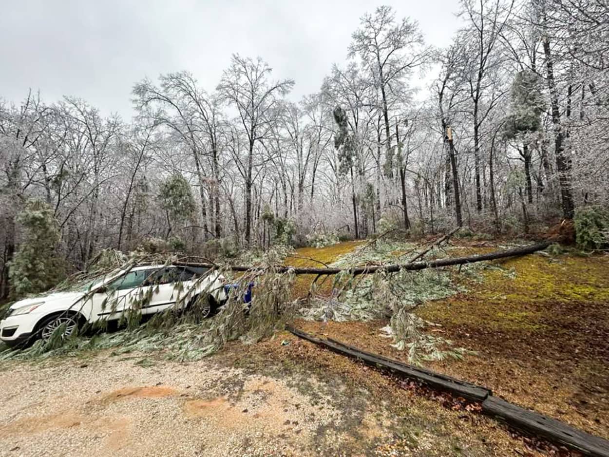 Downed tree on an SUV in Winona, MS