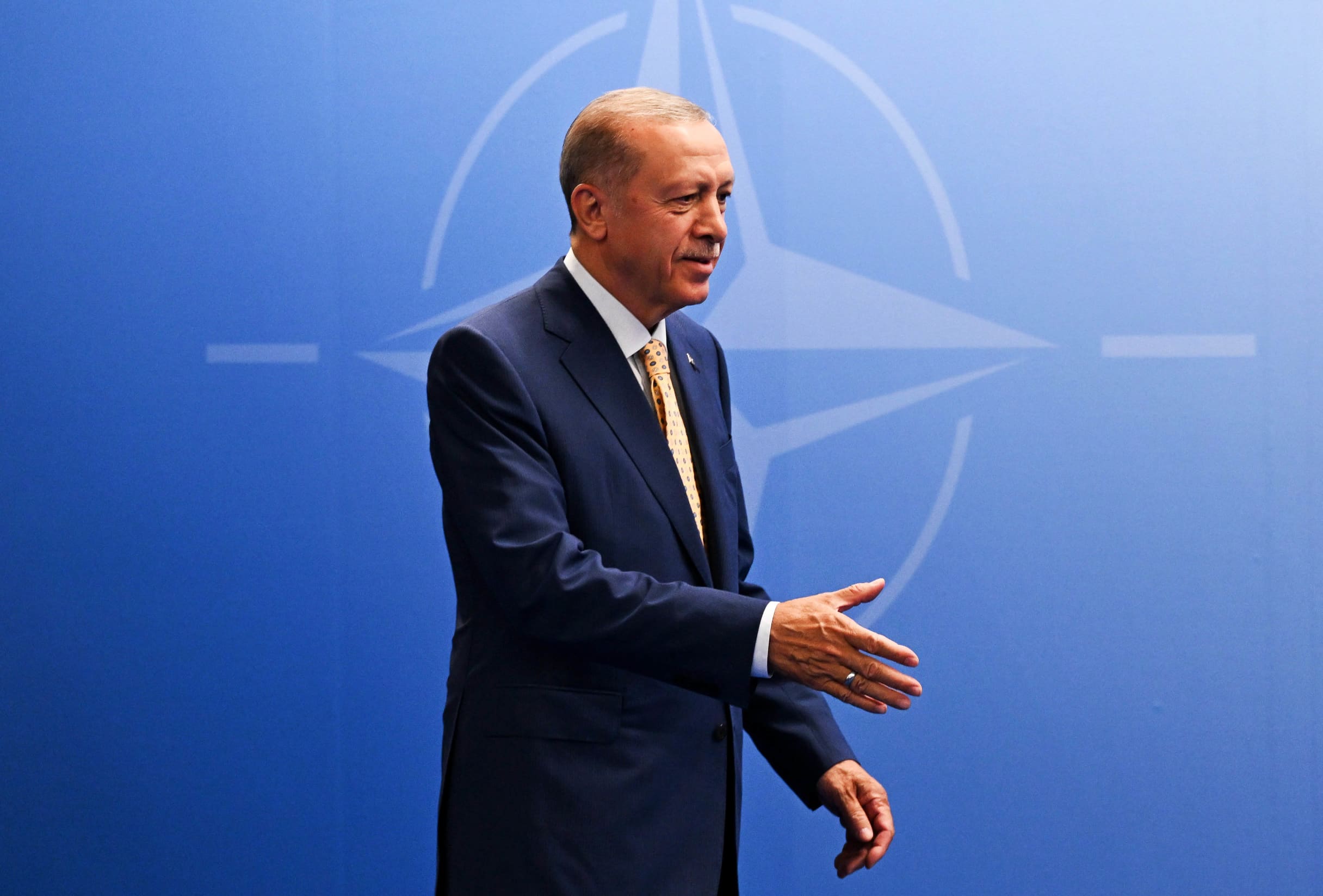 Image: NATO Holds 2023 Summit In Vilnius