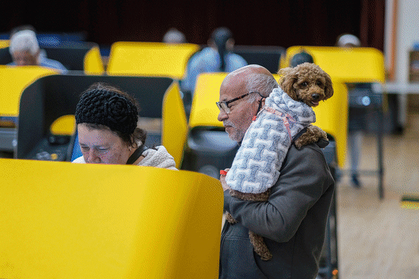 Dogs on election day in Los Angeles, Ohio, Arizona and Pittsburgh.