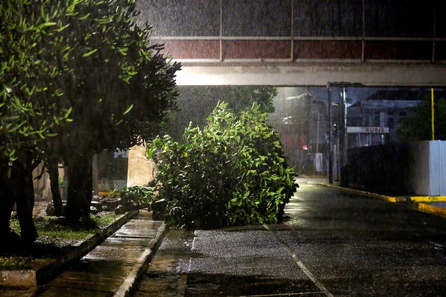 A fallen tree lies on a street as Hurricane Melissa approaches in Kingston, Jamaica, on Oct. 27, 2025.