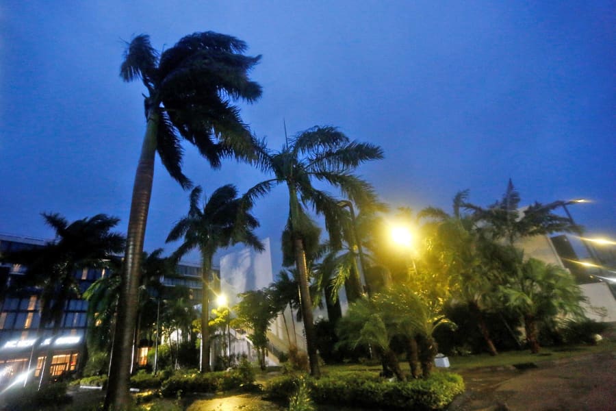 Palm trees sway ahead of Hurricane Melissa's landfall in Kingston, Jamaica, on Oct. 28, 2025.
