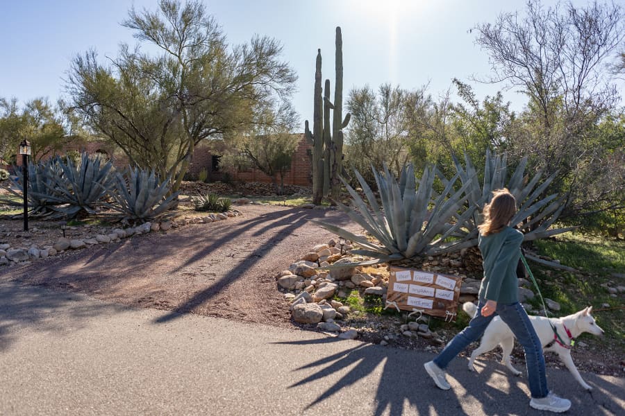 A neighbor walks a dog in front of the Nancy Guthrie's house on Feb. 3, 2026 in Catalina, Ariz.
