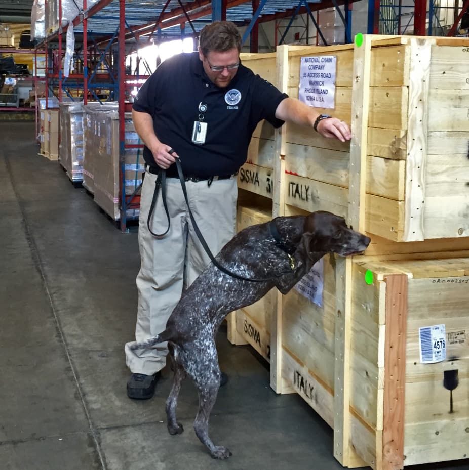 Francis "Frank" Boccabella III in 2015 with his previous canine partner, Zmay.
