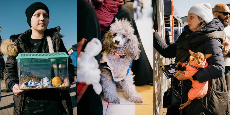 Over 3.9 million people have fled Ukraine since the war started on February 24