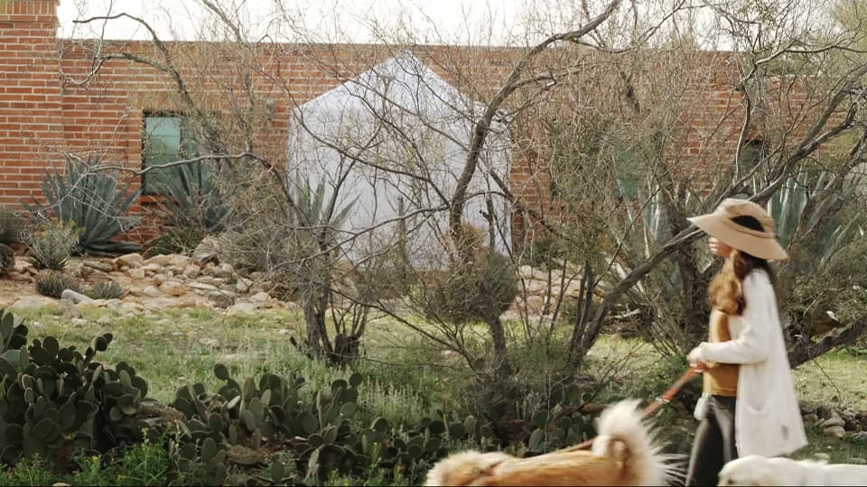 A woman walks her dogs past Nancy Guthrie's house on Feb. 12, 2026, where a tent has been erected outside her door.