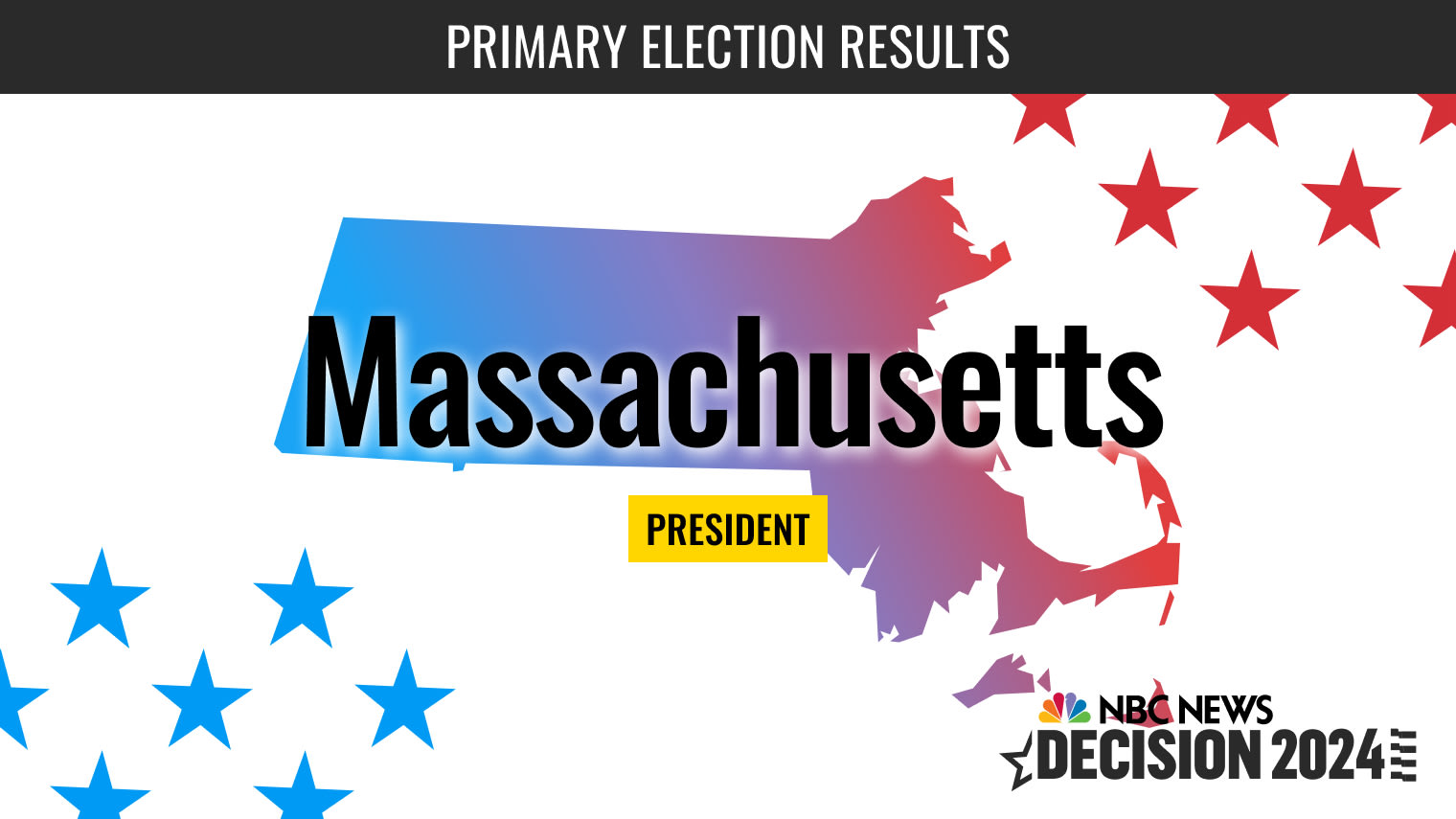 2024 Massachusetts Primary Elections - Neda Tamiko