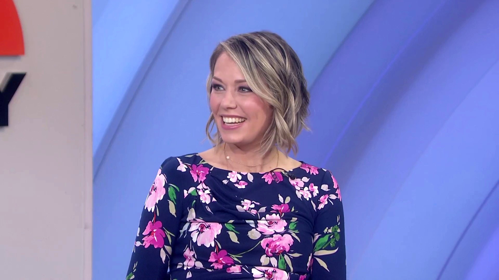dylan dreyer today show