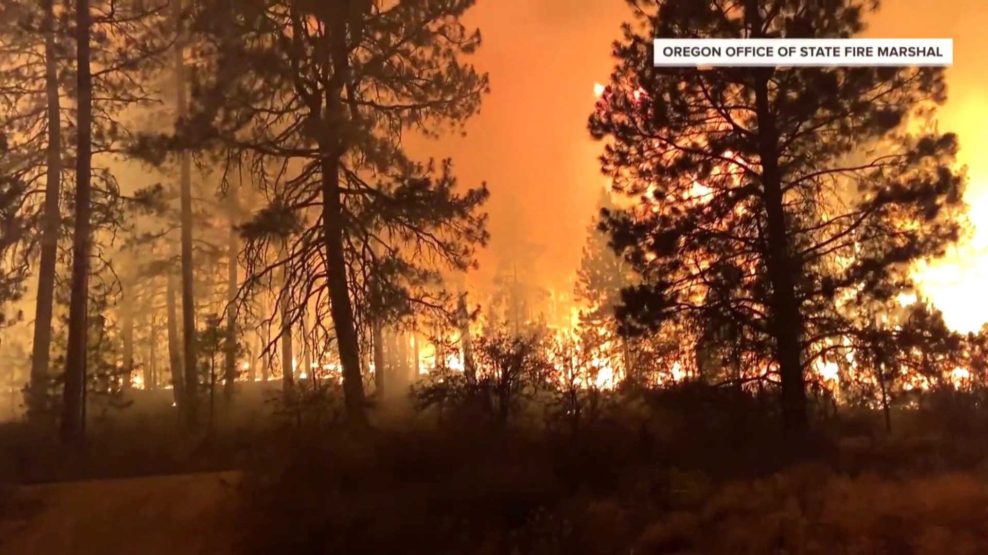 California S Dixie Fire Destroys Homes As Blazes Continue To Rage Across The West
