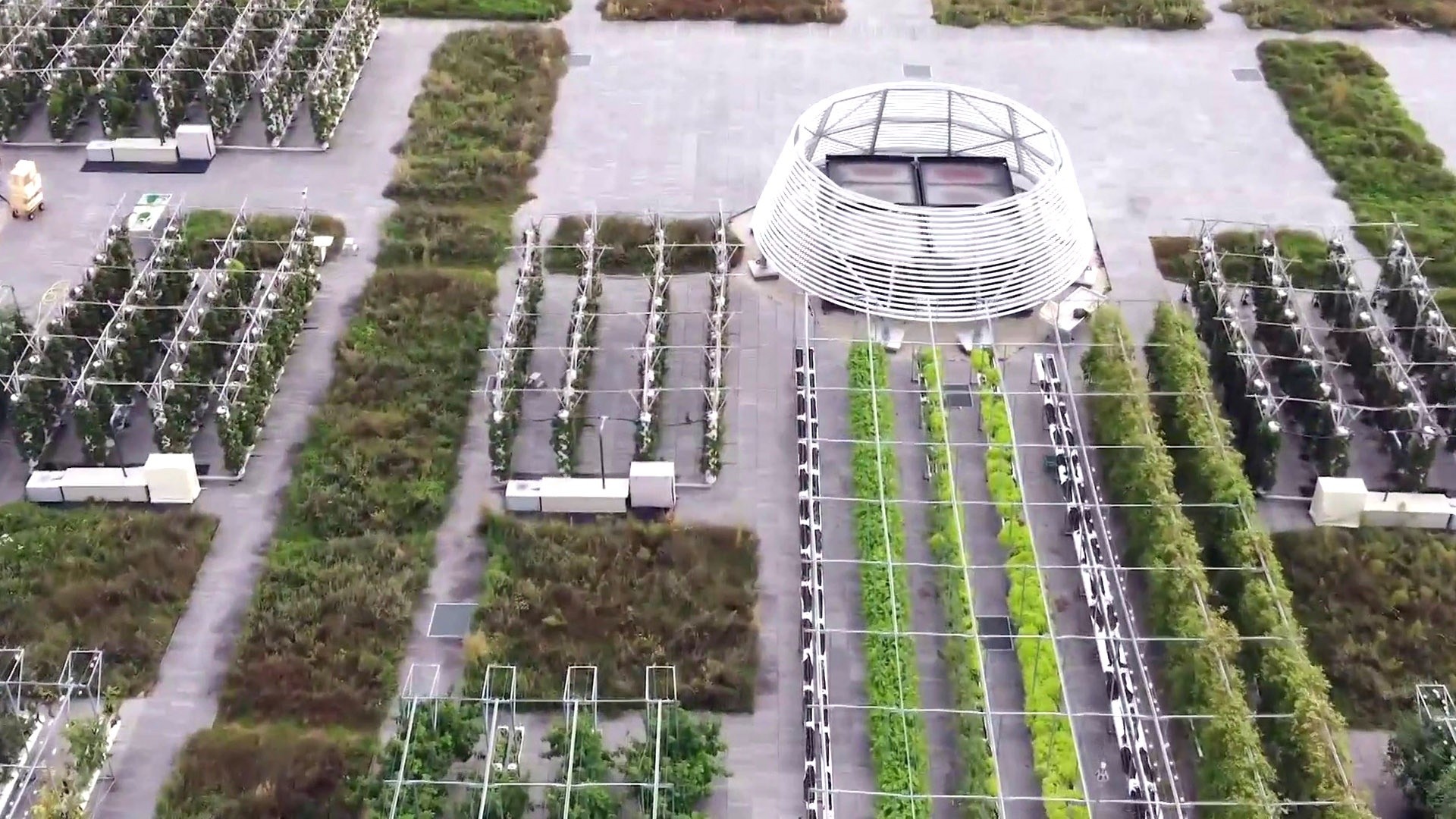 Scientists Used This Rooftop Garden Hack to Grow Bigger Plants
